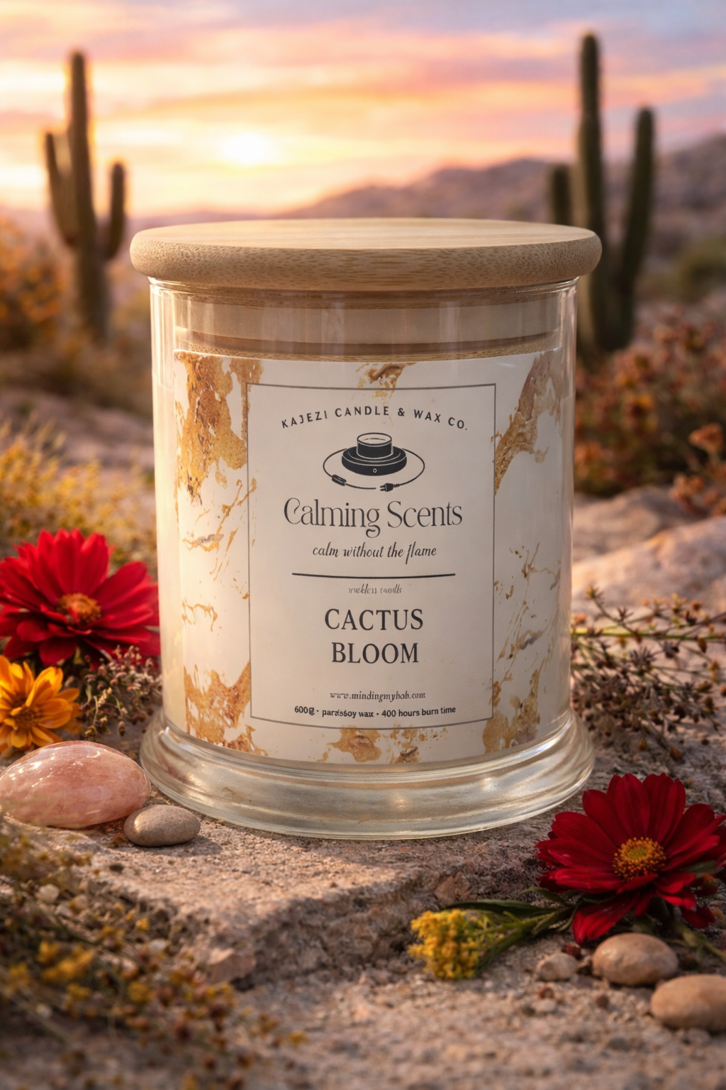 Cactus Bloom (Your Escape to Serenity)