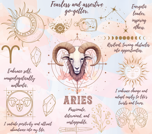 Aries 20 oz